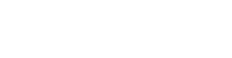 Pro driver